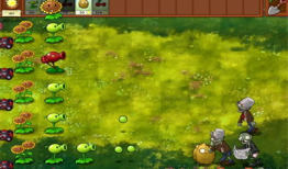 植物大战僵尸视频,保卫家园的奇妙冒险之旅